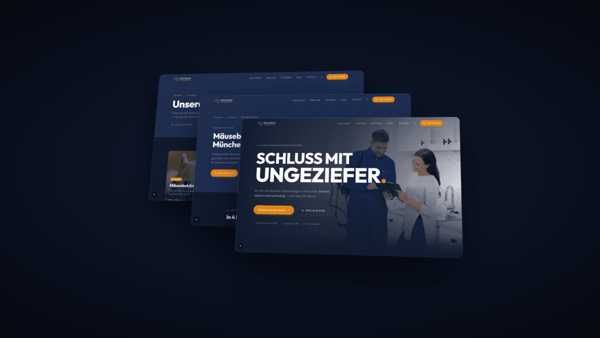 Isometrische 3D-Ansicht der Pegasus Website mit gestapelten Bildschirmen