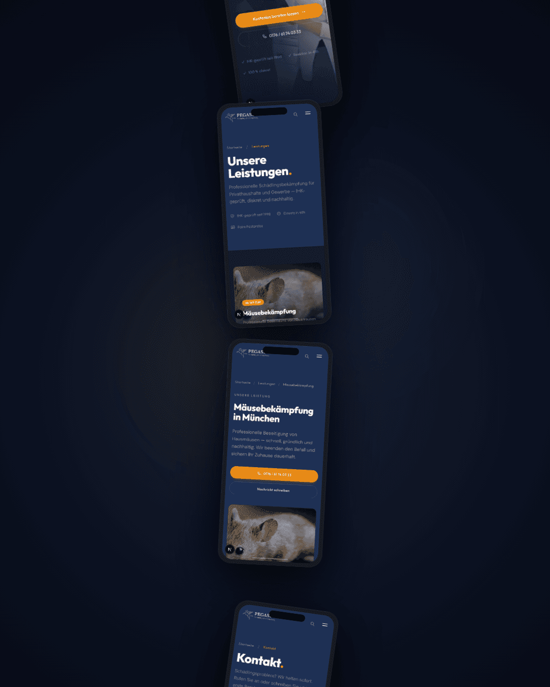 Pegasus Website auf iPhone \u2014 Leistungen, Ratgeber und Kontaktseite im mobilen Design